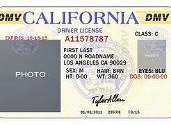 Image result for Printable Back Seat Drivers License