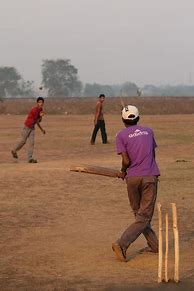 Image result for Playing Cricket