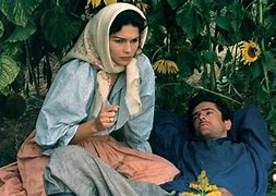 Image result for cichy_don_film