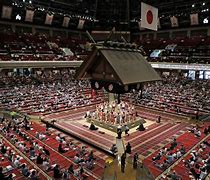 Image result for Seat Image Tokyo Sumo