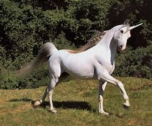 Image result for Cute Baby Unicorns Wallpapers