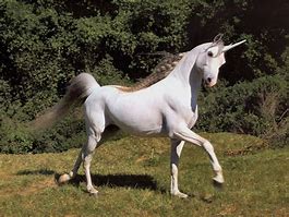 Image result for Brown Unicorn