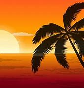 Image result for Cartoon Vibes Sunset
