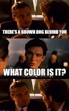 Image result for The Brown Dog Meme