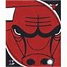 Image result for Chicago Bulls Team Logo