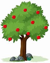 Image result for Illustration of an Apple Tree