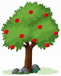 Image result for Apple Tree SVG