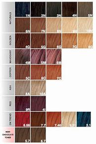 Image result for Naturtint Color Chart