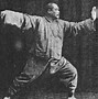 Image result for Chinese Fighting Styles List