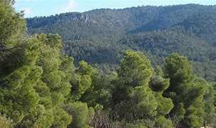 Image result for Sierra Salinas Alicante Mira