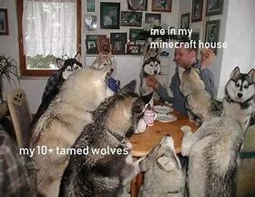 Image result for Minecraft Wolf Meme