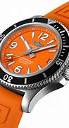 Image result for Diver Watch