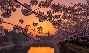 Image result for Osaka Castle Park Sunset