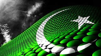 Image result for Pakistan Cricket Flag