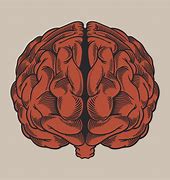 Image result for Brain Drawing Science
