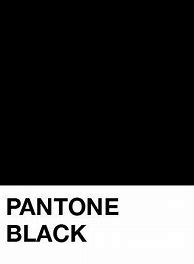 Image result for Pantone Black