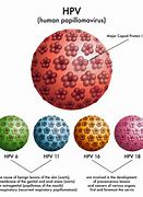 Image result for HPV Types Pictures