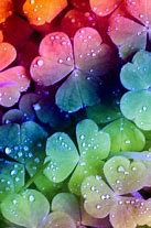Image result for Four Leaf Clover iPhone 6 Wallpaper