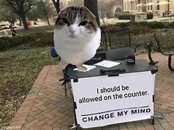 Image result for I Should Cat Meme