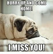 Image result for I Miss You Meme