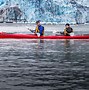 Image result for Glacier Bay Alaska