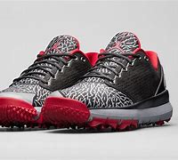 Image result for Michael Jordan Latest Shoes