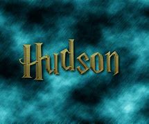 Image result for Cool Hudson Logo