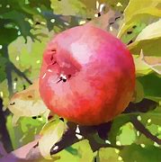 Image result for Rotten Apple Painting