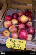 Image result for Apel Royal Gala