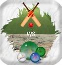 Image result for Cricket Game Field