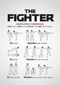 Image result for MMA Workout Chart
