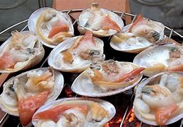 Image result for Sea Shell Foods Edible