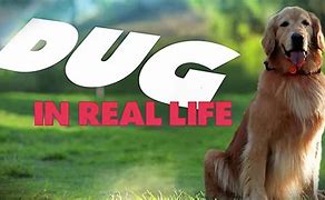 Image result for Disney Dogs Dug Real Life