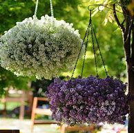 Image result for Outdoor Fall Hanging Baskets