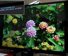 Image result for Seiki 29 Inch TV