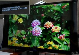 Image result for Seiki 32 Inch TV LED Bug Nick