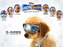 Image result for B-Dawg