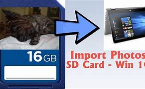 Image result for Import SD Card