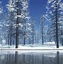 Image result for Merry Christmas with Snow Scenes