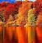 Image result for Autumn Landscape HD Wallpaper 1920X1080