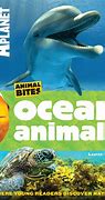Image result for 9781742522333 Animal Planet Book