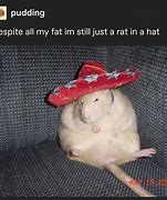 Image result for 10000 Rats Meme