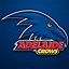 Image result for Adelaide Crows Logo