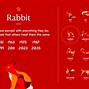 Image result for Year of the Rabbit Elephant Man
