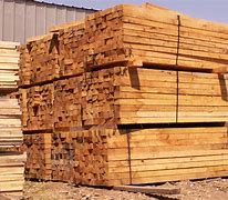 Image result for Forest Wood Products