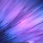 Image result for Purple Wallpaper 4K