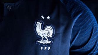 Image result for Coq Foot France