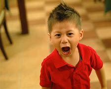 Image result for Angry Toddler Meme
