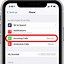 Image result for Full Screen Call iPhone 13