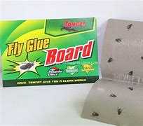 Image result for Fly Glue Boards